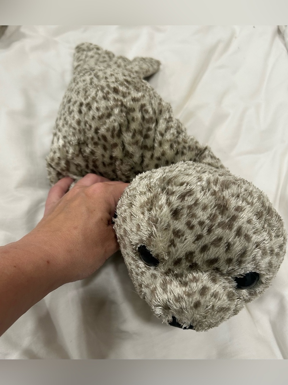 Folkmanis Harbor Seal Hand Puppet Plush Realistic Animal Learning Toy